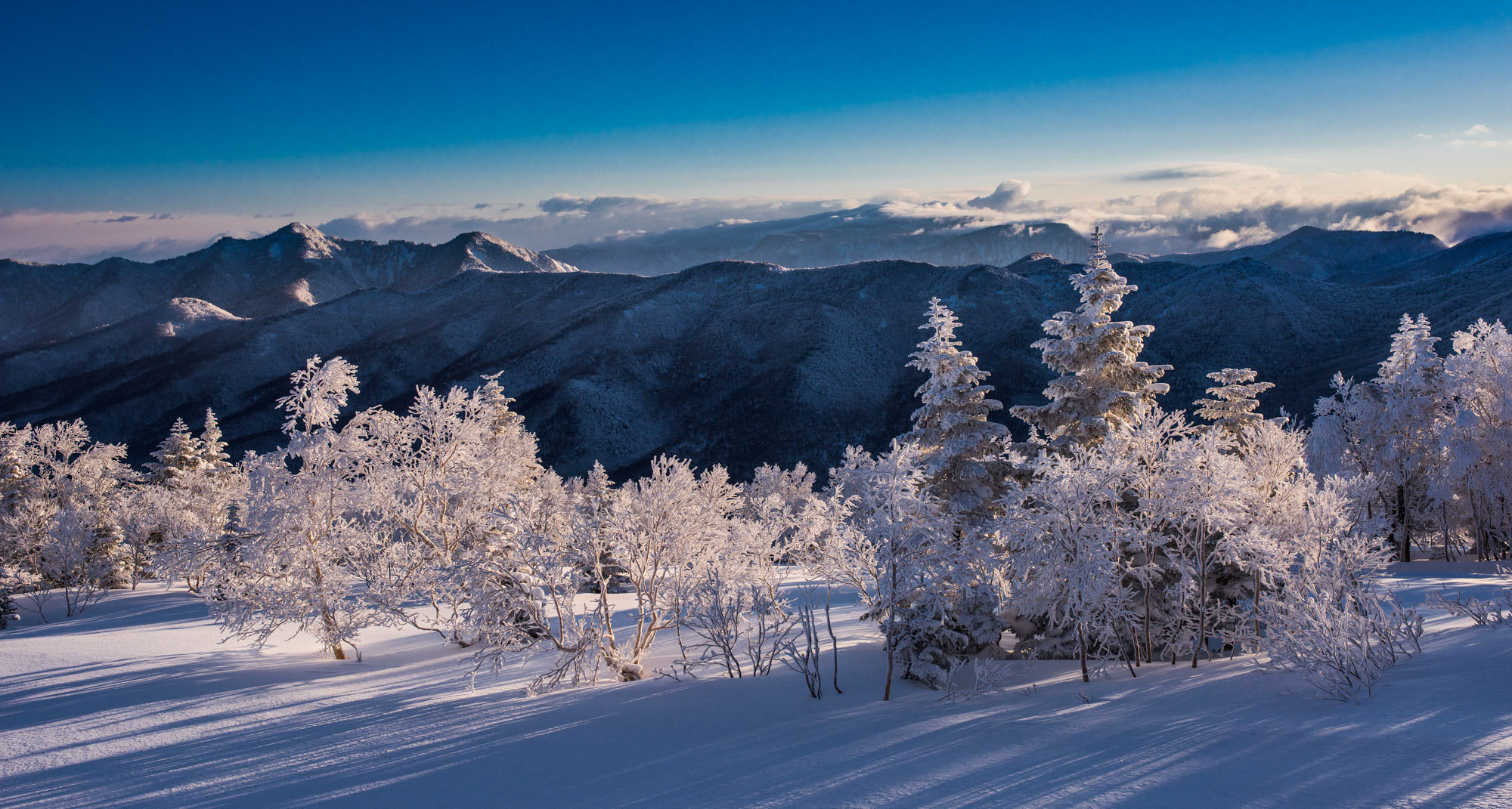 Okushiga Kogen Hotel Yamanouchi  Luaran gambar