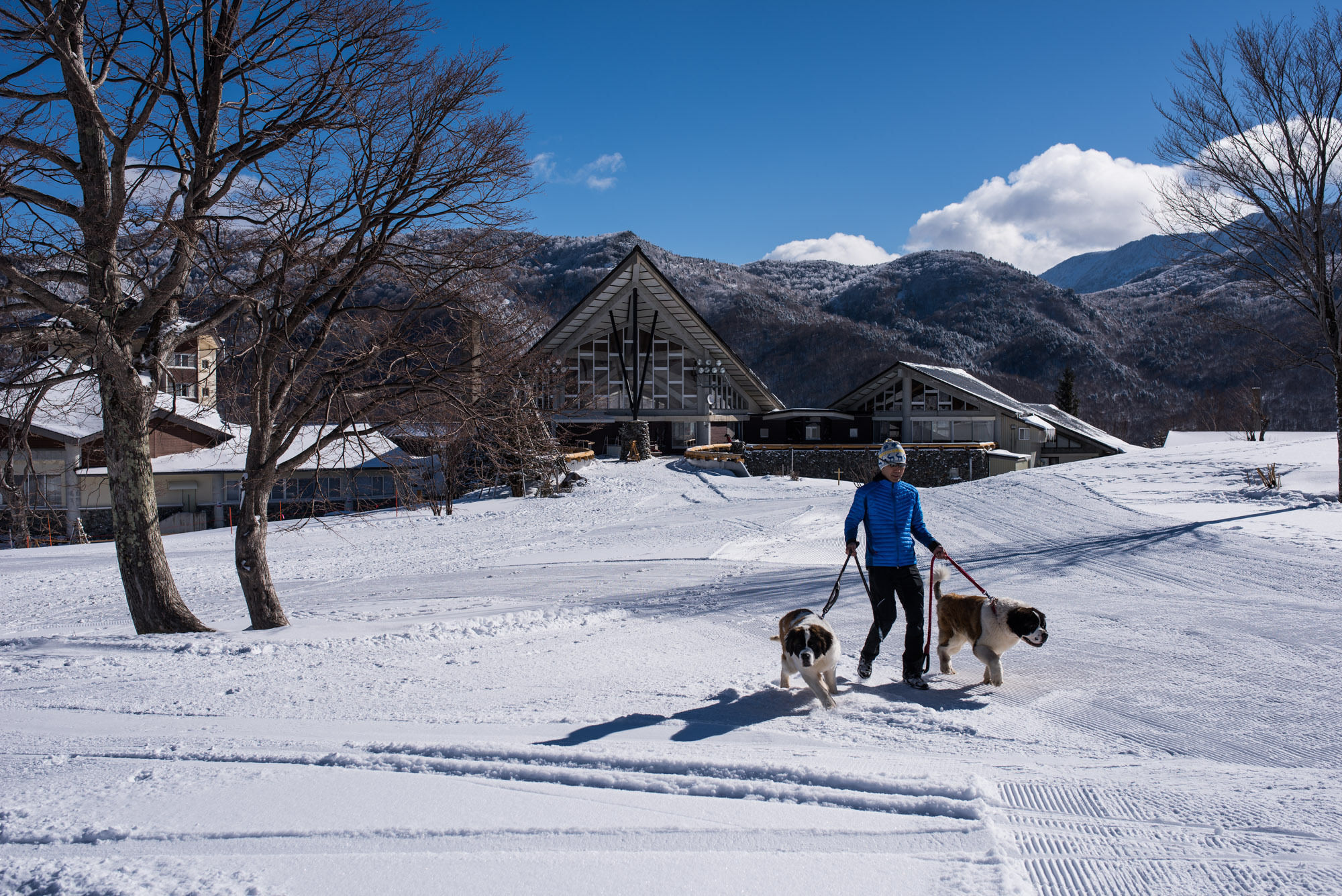 Okushiga Kogen Hotel Yamanouchi  Luaran gambar